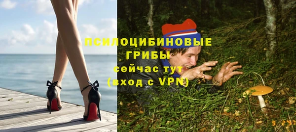 амф Ладушкин