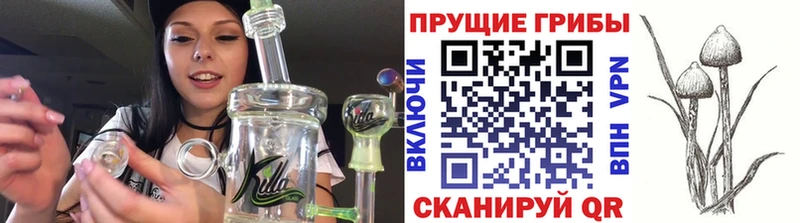 Купить закладки  Кулебаки  Псилоцибиновые грибы Magic Shrooms 